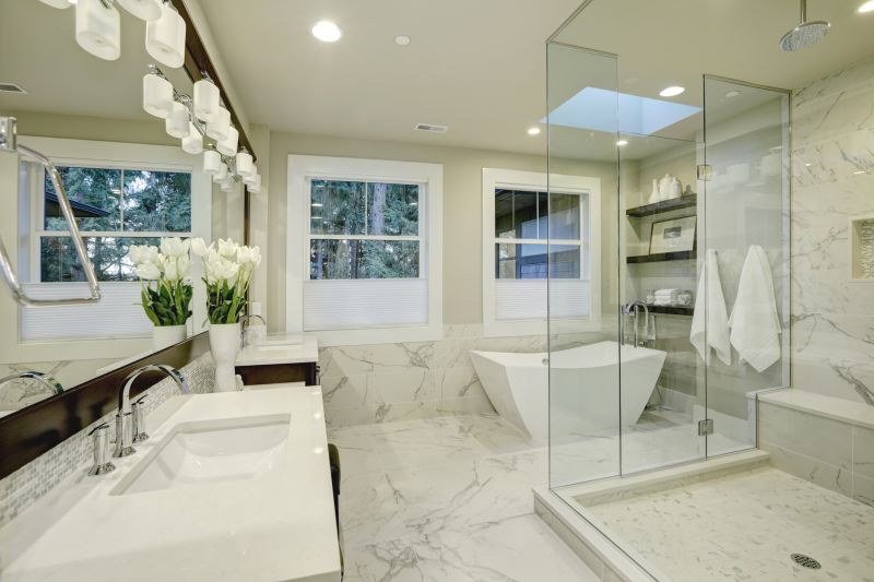 Glass Shower Door